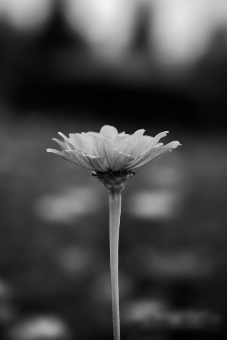 How did I end up here?